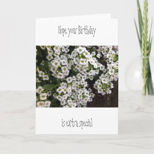 Carte d'anniversaire Alyssum (Devant)
