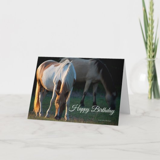 Carte d'anniversaire American Paint Horse (Devant)