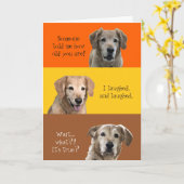 Carte d'anniversaire amusante (Fleur jaune)