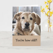 Carte d'anniversaire amusante (Fleur jaune)