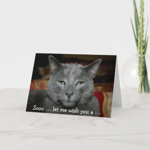 Carte d'anniversaire amusante avec chat gris