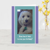 Carte d'anniversaire amusante et amusante (Fleur jaune)