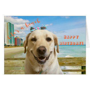 Carte d'anniversaire amusante Labrador Chien, clai