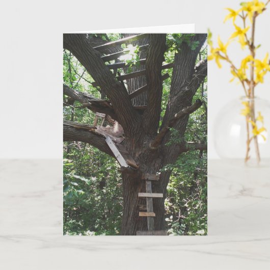 Carte d'anniversaire "Andy's Market Treehouse" (Fleur jaune)
