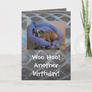 Carte d'anniversaire anglaise drôle de bouledogue