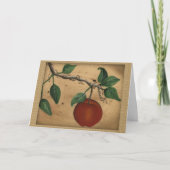 Carte d'anniversaire Apple (Devant)