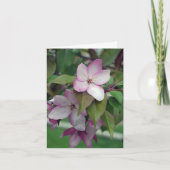 Carte d'anniversaire Apple Blossom (Devant)