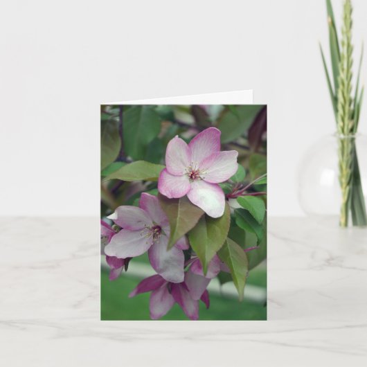 Carte d'anniversaire Apple Blossom (Devant)