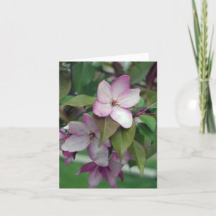 Carte d'anniversaire Apple Blossom