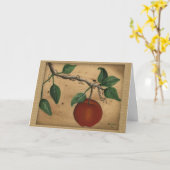 Carte d'anniversaire Apple (grande impression) (Fleur jaune)