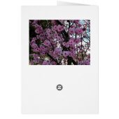 Carte d'anniversaire Arbre Fleur Rose de Printemps (Dos)