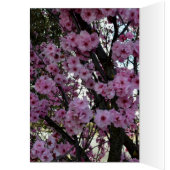 Carte d'anniversaire Arbre Fleur Rose de Printemps (Intérieur (Gauche))