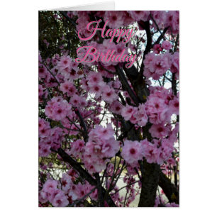 Carte d'anniversaire Arbre Fleur Rose de Printemps