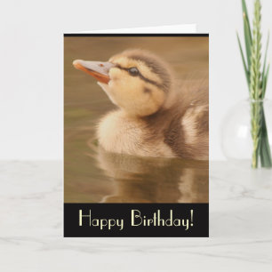 Carte d'anniversaire au canard