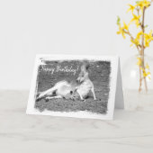 Carte d'anniversaire australienne Kangaroo (Fleur jaune)