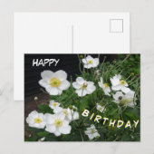 Carte d'anniversaire aux Anémones Japonaises Blanc (Devant / Derrière)