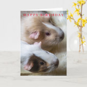 Carte d'anniversaire aux cochons de Guinée (Fleur jaune)