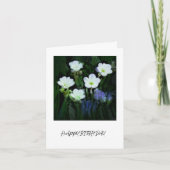 CARTE D'ANNIVERSAIRE AUX FLEURS BLANCHES (Devant)