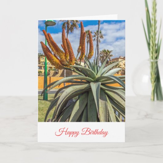 Carte d'anniversaire aux fleurs d'Aloe Vera (Devant)