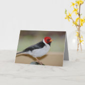 Carte d'anniversaire avec Cardinal à bec jaune (Fleur jaune)