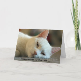 Carte d'anniversaire avec chat : Réveillez-moi pou
