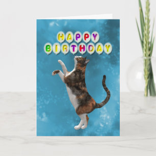 Carte d'anniversaire avec chats calico