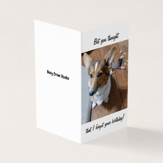 Carte d'anniversaire avec Corgi Dog (Outside)