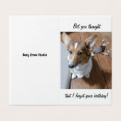 Carte d'anniversaire avec Corgi Dog (Outside Unfolded)