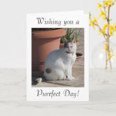 Carte d'anniversaire avec la conception de chat (Fleur jaune)