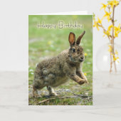 Carte d'anniversaire avec lapin sauvage (Fleur jaune)