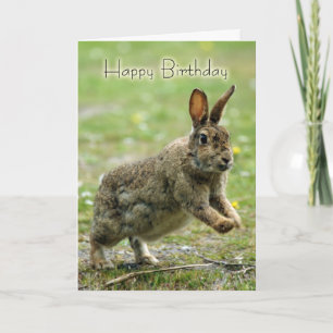 Carte d'anniversaire avec lapin sauvage