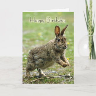 Carte d'anniversaire avec lapin sauvage