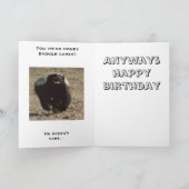 carte d'anniversaire avec le blaireau de miel (Intérieur)