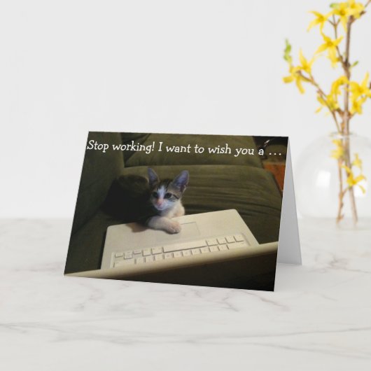 Carte d'anniversaire avec le chat : Cessez le (Fleur jaune)