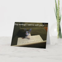 Carte d'anniversaire avec le chat : Cessez le
