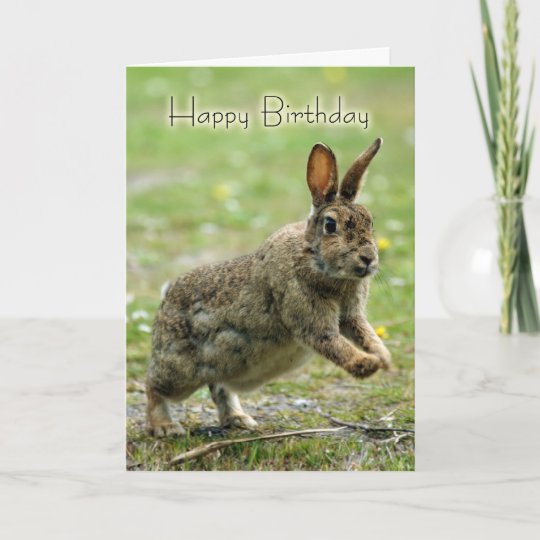 Carte D Anniversaire Avec Le Lapin Sauvage Zazzle Be