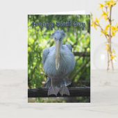 Carte d'anniversaire avec le pélican (Fleur jaune)