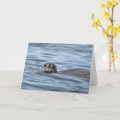 Carte d'anniversaire avec le petit phoque (Fleur jaune)