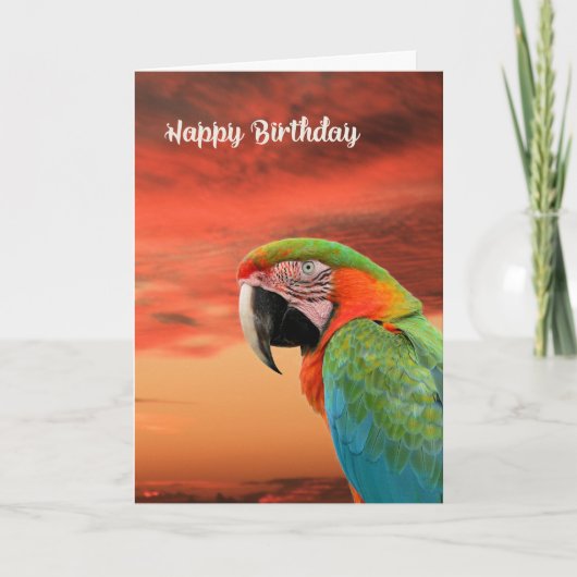 Carte d'anniversaire avec perroquet coloré et couc (Devant)
