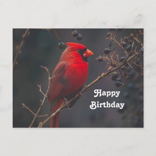 Carte d'anniversaire avec photo de Cardinal rouge (Devant)