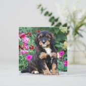 Carte d'anniversaire avec un chiot Bernedoodle dan (Debout devant)