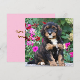 Carte d'anniversaire avec un chiot Bernedoodle dan
