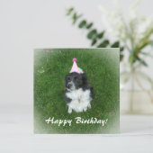 Carte d'anniversaire avec un collie-chien frontali (Debout devant)