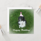 Carte d'anniversaire avec un collie-chien frontali (Devant/Arrière en situation)