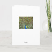 Carte d'anniversaire avec un oiseau paon (Dos)