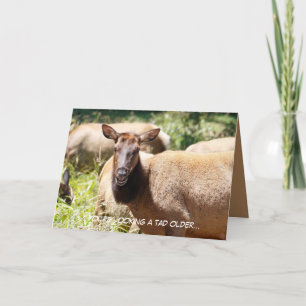 Carte d'anniversaire avec wapiti