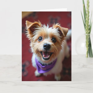 Carte d'anniversaire Bandana pour Chien Heureux