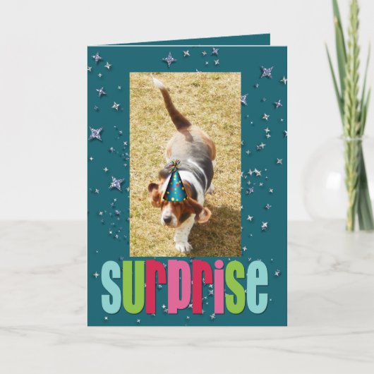 Carte d'anniversaire Basset Hound (Devant)