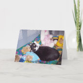 CARTE D'ANNIVERSAIRE BATTUE (Dos)