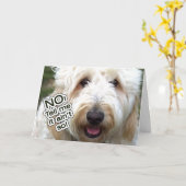 CARTE D'ANNIVERSAIRE BATTUE - NON, DITES-MOI QUE C (Fleur jaune)
